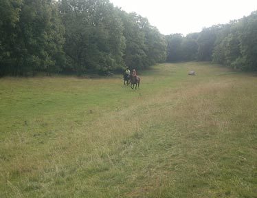 Going on holiday with your horse